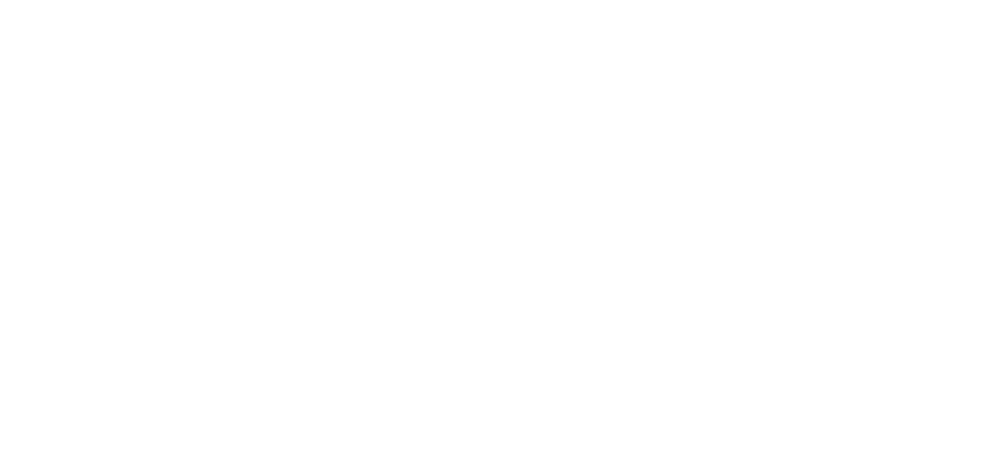 visisk